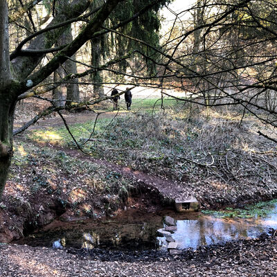Christborn bei Ernsthausen