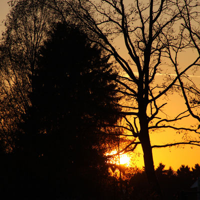 Sonnenuntergang mit zwei Bäumen im Vordergrund. Abendstimmung im Ortsteil Burgwald.