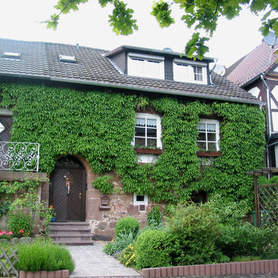 Das Foto zeigt das wunderschöne alte Komturhaus in Wiesenfeld, ein mit Efeu bewachsenes altes Backsteingebäude.